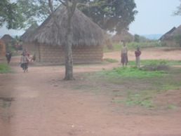 Congo Revival